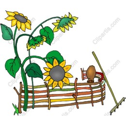 Sunflower Gardener