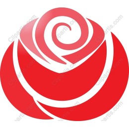 Red Rose