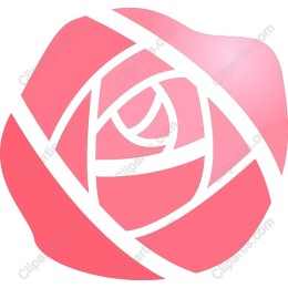 Modern Pink Rose