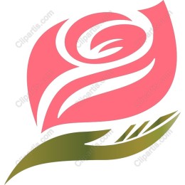 Elegant Pink Rose