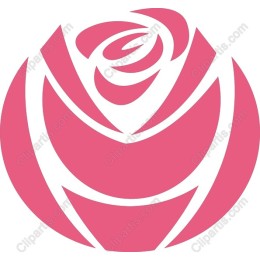 Elegant Pink Rose