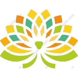 Vibrant Lotus Flower