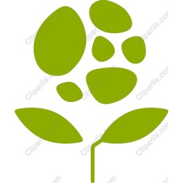 Stylized Floral