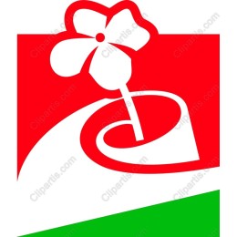 Vibrant Flower Spiral