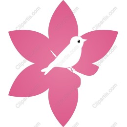 Bird in Blossom