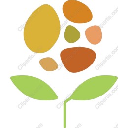 Organic Bloom