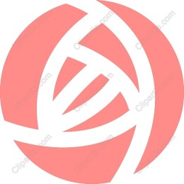 Coral Curved Lines