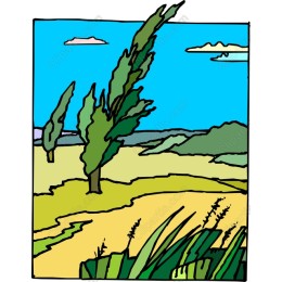 Vibrant Nature Landscape