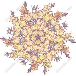 Floral Mandala