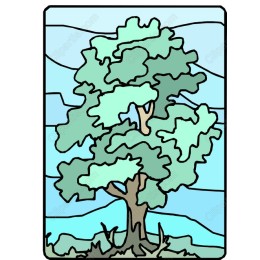 Lush Tree Landscape
