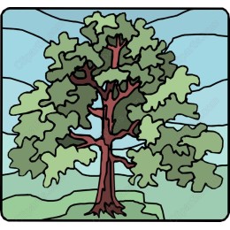 Majestic Tree