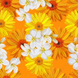 Vibrant Floral Bloom Pattern