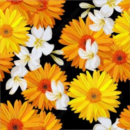 Sunny Floral Delight