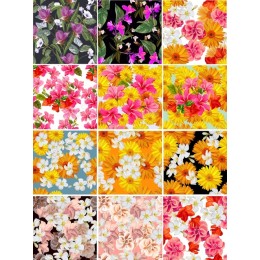 Vibrant Floral Bundle