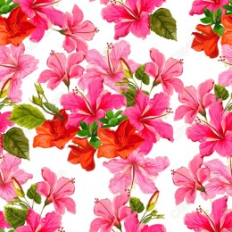 Tropical Hibiscus Floral Pattern