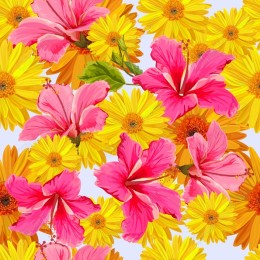 Tropical Floral Bliss