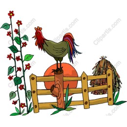 Rooster on a Fence
