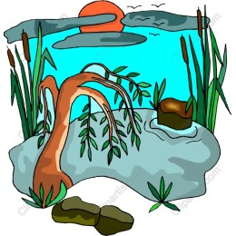 Tranquil Water Scene