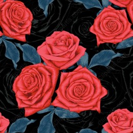 Romantic Red Roses