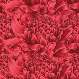Vibrant Red Chrysanthemum Floral