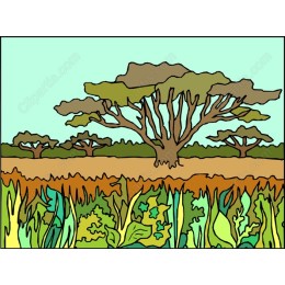 Vibrant Nature Landscape