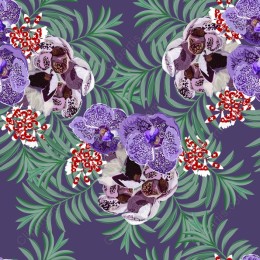 Orchid Dream