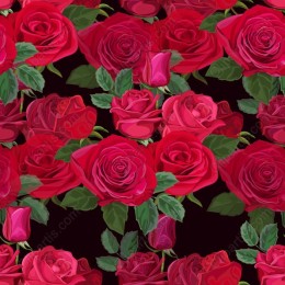 Rose Floral Pattern