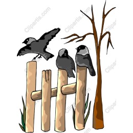 Whimsical Bird