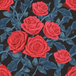 Vibrant Red Rose
