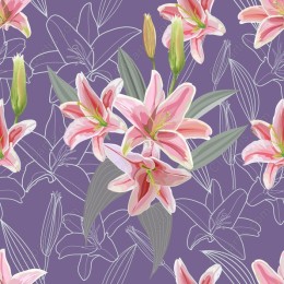 Elegant Pink Lily Floral Pattern