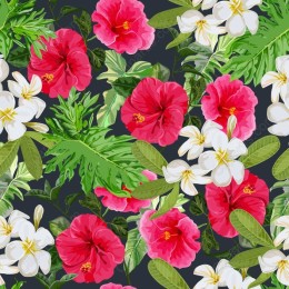 Tropical Hibiscus and Plumeria Floral .