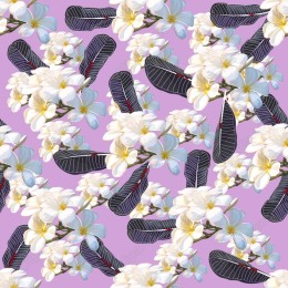 Vibrant Plumeria Floral Pattern