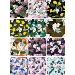 Vibrant Floral Bundle - 12 Unique