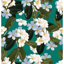 Tropical Plumeria Floral