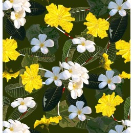 Vibrant Floral Pattern in and - White and Yellow Flowers