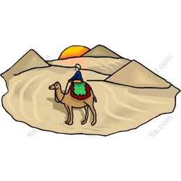 Desert Camel Adventure