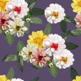 Vibrant Floral Zinnia