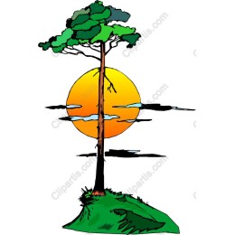 Majestic Tree at Sunset