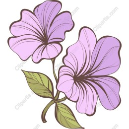 Lavender Blossom Floral