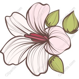 Elegant Floral