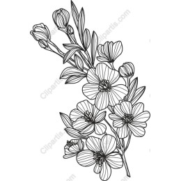 Elegant Floral Line Art