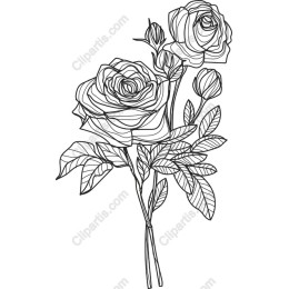 Elegant Rose Bouquet