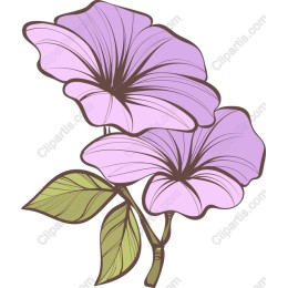 Purple Bloom Floral