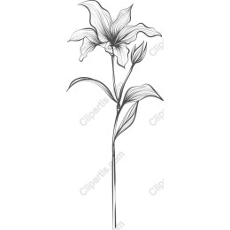 Elegant Floral