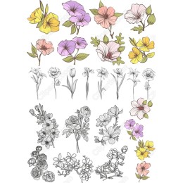 Elegant Floral Collection