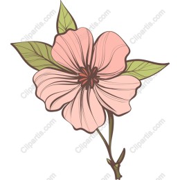 Elegant Pink Floral
