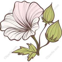 Delicate Floral