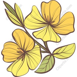Yellow Flower
