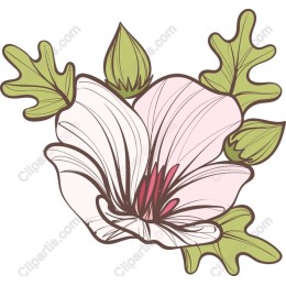 Elegant Floral