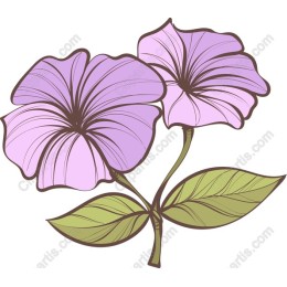 Elegant Purple Flower